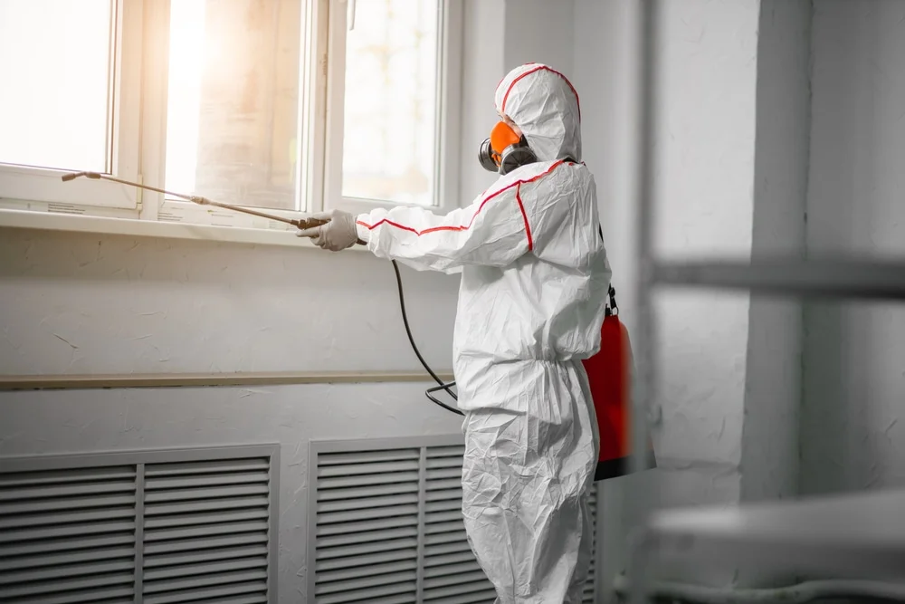 Professional mold remediation services in Eleva, WI